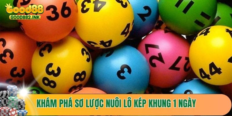 Bí Quyết Nuôi Lô Kép Khung 1 Ngày Hiệu Quả Nhất Cho Người Chơi Mới 2 Khám phá sơ lược nuôi lô kép khung 1 ngày