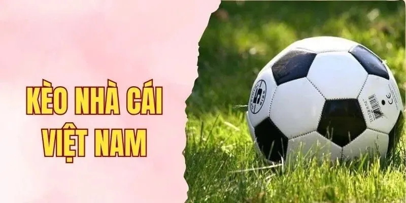Kèo Nhà Cái Việt Nam - Đổi Đời Nhanh Cùng Anh Em nhà cái 1 Kèo nhà cái Việt Nam