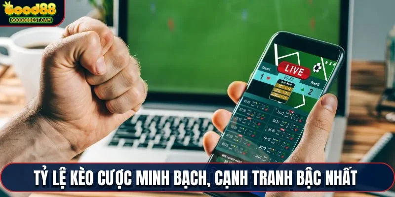 App Cá Độ Bóng Đá - Hướng Dẫn Tải Và Cài Đặt Ứng Dụng 3 Tỷ lệ kèo cược minh bạch, cạnh tranh bậc nhất thị trường